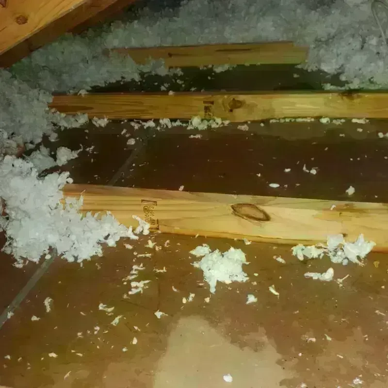 Attic Water Damage in Accomack County, VA