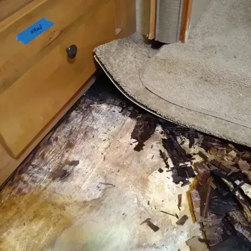 Best Wood Floor Water Damage Service in Accomack County, VA